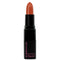 KLEANCOLOR NUTMEG EVERLASTING LIPSTICK